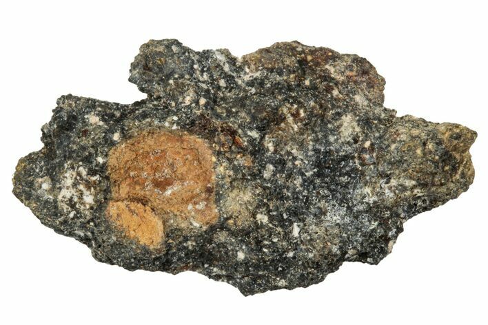 Howardite Meteorite ( g) - Bechar #348270